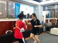 -温鉴良实用咏春拳