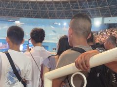 -泉城欧乐堡海洋极地世界