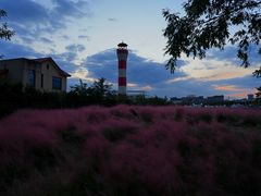 -上海山野camping·户外天幕烧烤·团建拓展营地