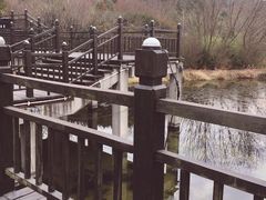 -石塘人家