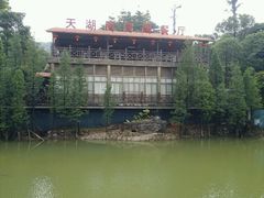 -广州市帽峰山景区