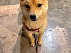 -百灵缘瑞丽味道特色小吃(水乡店)