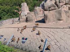 -哈尔滨北方森林动物园