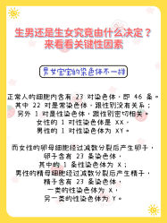 -安馨无忧月子中心(青秀店)