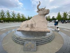 -永定河休闲森林公园