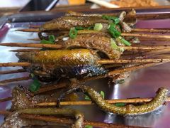 -晓靖轩烧烤(沙河风情店)