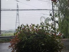 -李东农庄(中南百草园地标店)