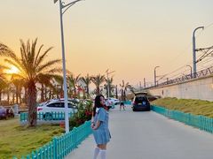 -海堤纪念公园