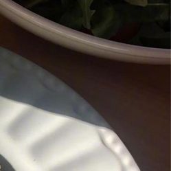-凡碧诗毛孔收细