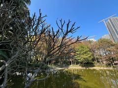 -黄埔荔枝公园