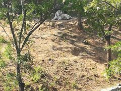 -石家庄市动物园