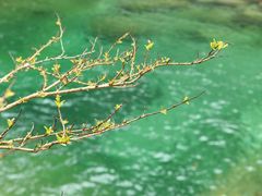 -黄山翡翠谷景区