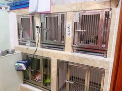 -瑞派动物医院·绝育·犬猫全科·预防医学(光景江南中店)