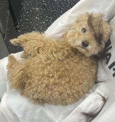 -Hair Co.一间沙龙