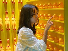 -杭州西湖星空魔幻城(星空艺术馆品牌旗舰店)