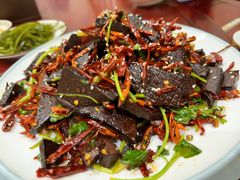 -东仔·东北小酒馆(新乐店)