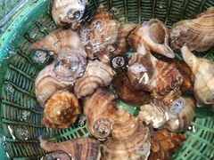 -五姊妹海鲜(火车站店)