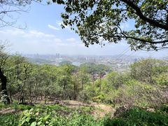 -岳麓山风景名胜区