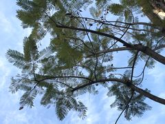 -福州市仓山小学