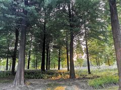 -贵阳市花溪国家城市湿地公园