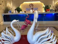 -昆明梦想医疗美容医院