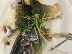 油盐蒸青竹皖鱼-稻香酒家·35年老字号(侨光店)
