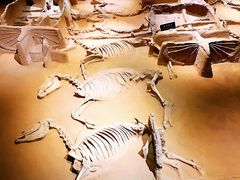 -洛阳周王城天子驾六博物馆