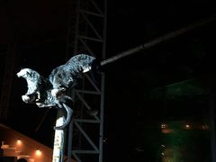 -清迈夜间动物园