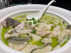 -湖鱼湖·蓉亭食贝(亚运村店)