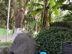 -昆山城市生态森林公园