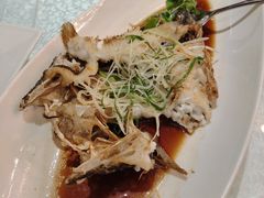 -外高桥喜来登酒店采悦轩