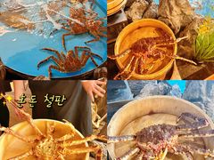 -耕海蟹将军(万象城店)