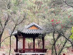 -深圳国际园林花卉博览园