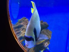 -多彩贵州城极地海洋世界