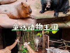 -长鹿旅游休博园