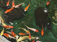 -汇景花园酒家(基立下道店)