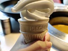 自己做的diy冰淇淋-煲宫猪肚鸡(晶品店)