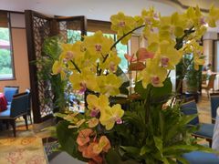 -杭州香格里拉·香宫中餐厅