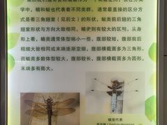 -上海昆虫博物馆