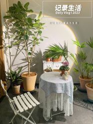 -芳香乐府疗愈空间·SPA·冥想