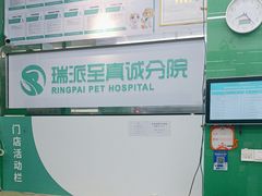 -瑞派动物医院·猫专科·至诚(江南中分院)