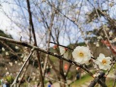 -白云山索道-售票处