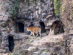 -杭州动物园