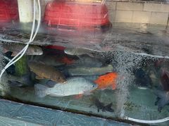 -山坑河鲜(昆仲楼店)