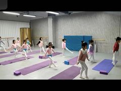 -舞蕾舞蹈(特长生校区)