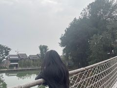 -铁山坪森林公园