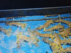-徐记海鲜(大雁塔|金都店)
