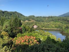 -深圳仙湖植物园