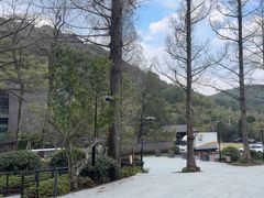 -东明山森林公园