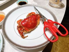 -新光酒家·河豚·海鲜·蟹料理(浦东店)